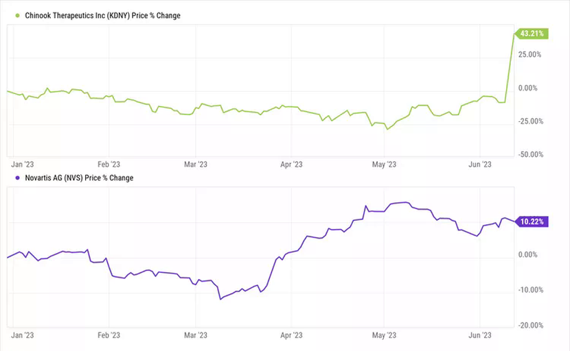 Hãng dược Thụy Sĩ Novartis chi 3,5 tỷ USD mua lại Chinook Therapeutic - Ảnh 1.