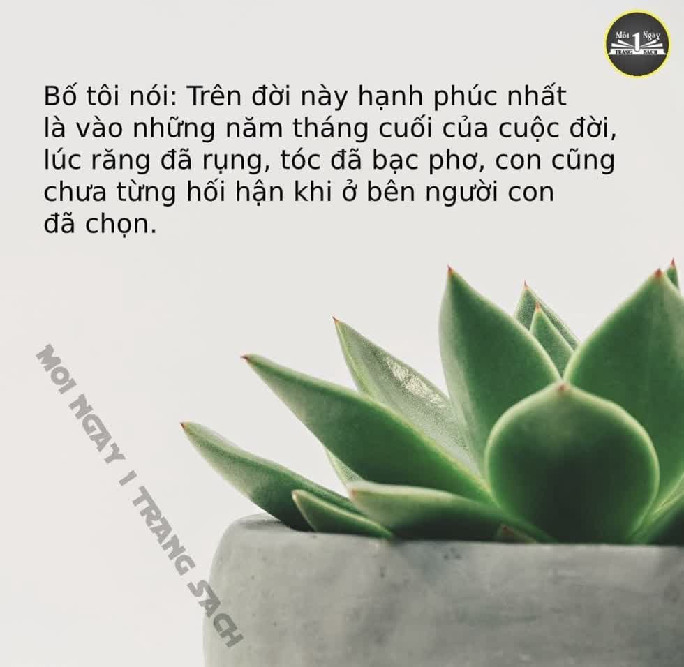 Tử vi hàng ngày 3/2/2020 của 12 cung hoàng đạo: Thiên Bình may mắn, Xử Nữ phạm sai lầm