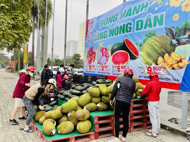 Siêu thị mang thanh long, mít ra bán ở vỉa hè