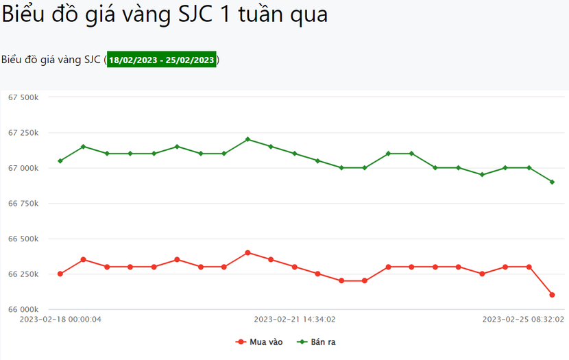 Chuyên gia dự báo vàng vẫn chưa sẵn sàng để tăng trở lại vào tuần tới - Ảnh 1.