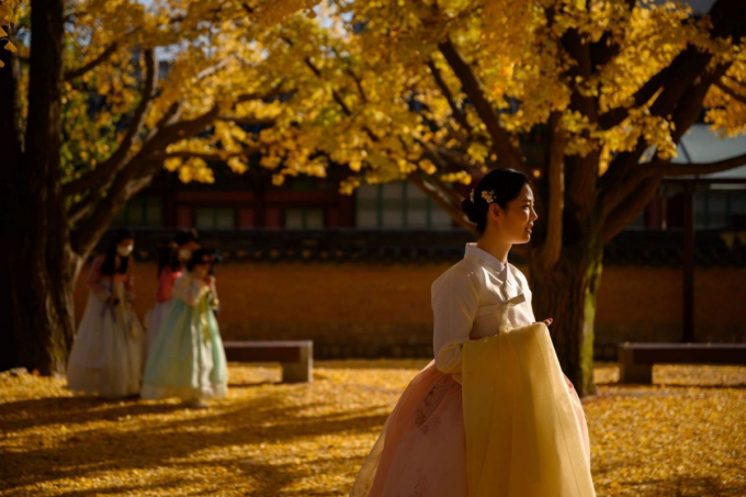 Khuôn viên Gyeongbokgung, Seoul. Ảnh: AFP.