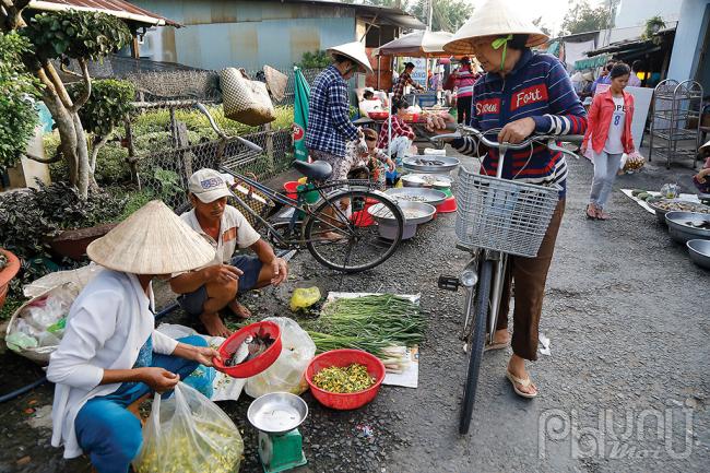 Không thể thiếu sắc vàng hoa điên điển.