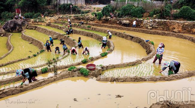 Chiêm ngưỡng vẻ đẹp huyền ảo của Y Tý mùa đổ nước