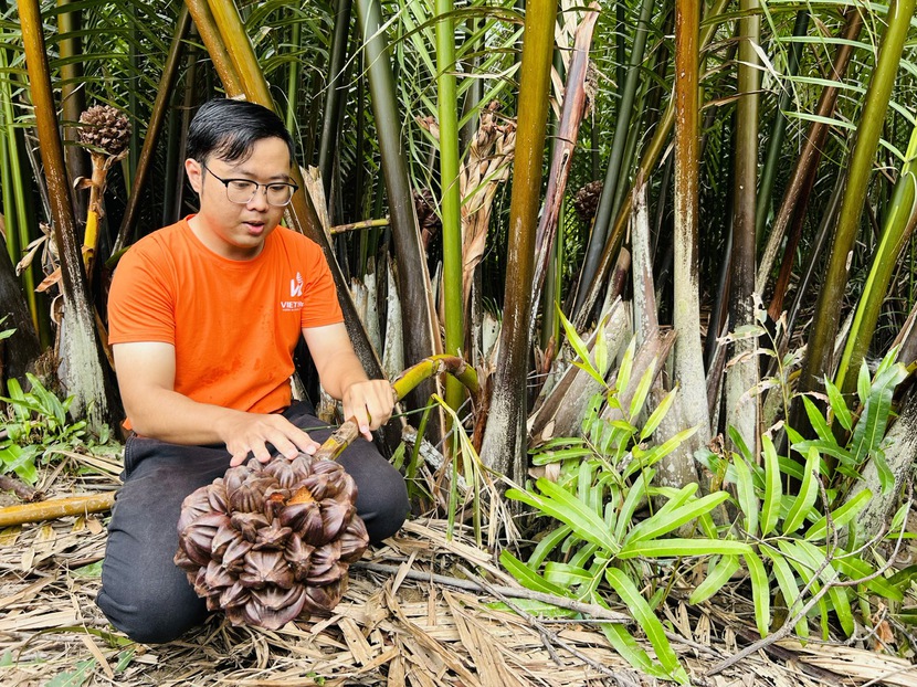 Khám phá doanh nghiệp xanh tại Cần Giờ  - Ảnh 1.