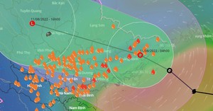 Sáng sớm nay 11/8, áp thấp nhiệt đới suy yếu từ bão số 2 (bão Mulan) đã đi vào khu vực các tỉnh Quảng Ninh - Hải Phòng, miền Bắc tiếp tục mưa lớn kèm nguy cơ gió giật mạnh.