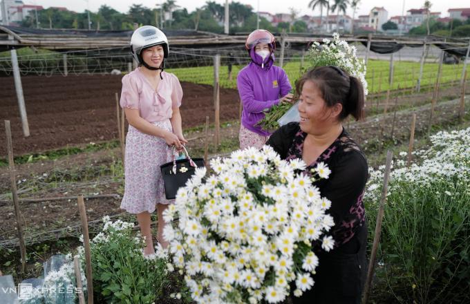 Khách đến mua hoa tại vườn mỗi ngày đều khá đông.