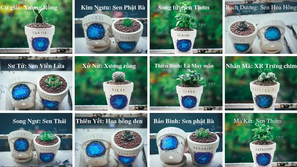 Những món quà 8/3 hot nhất thị trường 2020