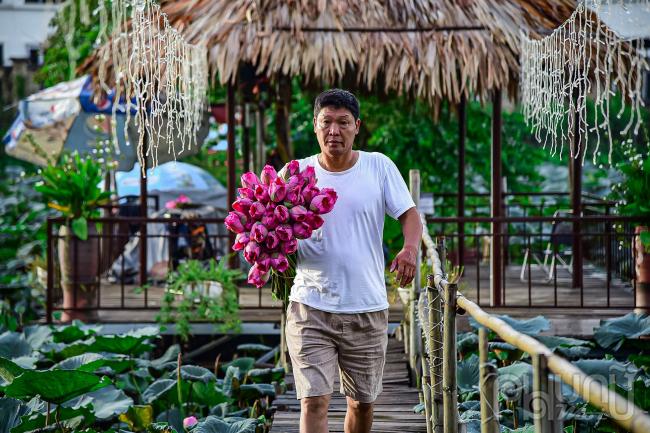 Khách đến thu mua từ rất sớm để kịp đem ra chợ bán