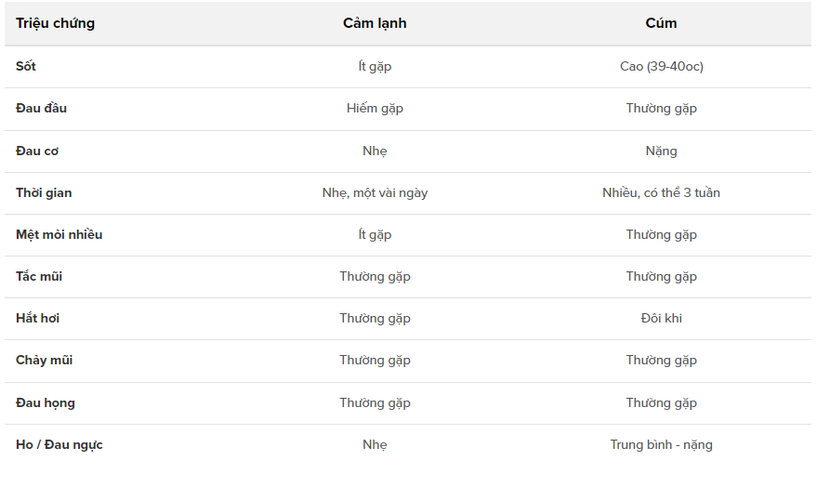 Phân biệt và phòng ngừa cảm lạnh - cảm cúm - Ảnh 2.