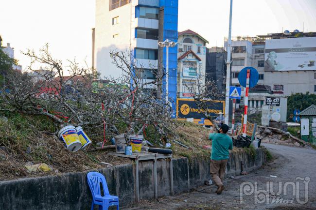 Một số tiểu thương chia sẻ: Năm nay dịch bệnh kéo dài nên buôn bán ế ẩm, chậm so với mọi năm. Những người thật sự biết chơi hoa họ mới mua về còn đa số người hiếu kỳ hỏi thăm xem là chính.