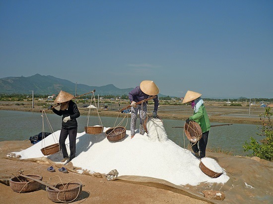 Tuy trúng mùa nhưng muối vẫn ở giá thấp so với cùng kỳ năm trước.