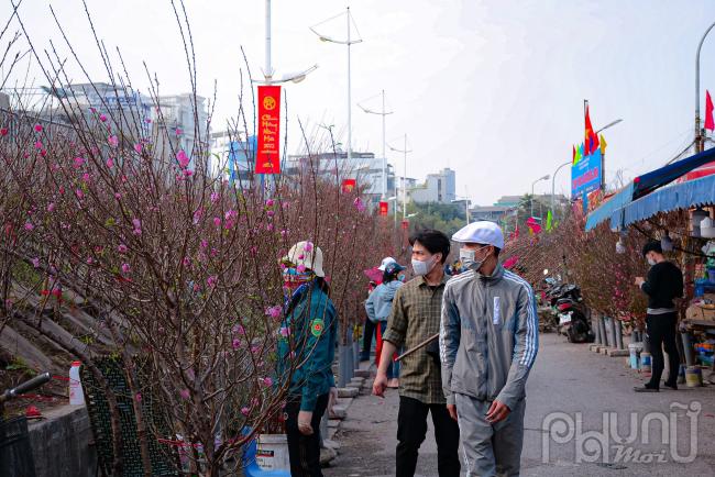 Cành đào bày bán nở rực cả chợ thu hút nhiều người  lựa chọn