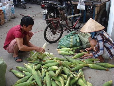 Nghề bán bắp thành “thương hiệu” của hẻm.