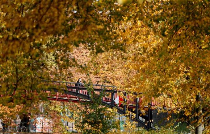 Những tán cây mùa thu bên dòng sông Spree ở Berlin, Đức/Fabrizio Bensch