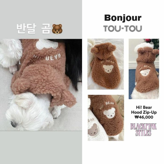 Nơi mua: Bonjour Toutou (~1 triệu đồng) 