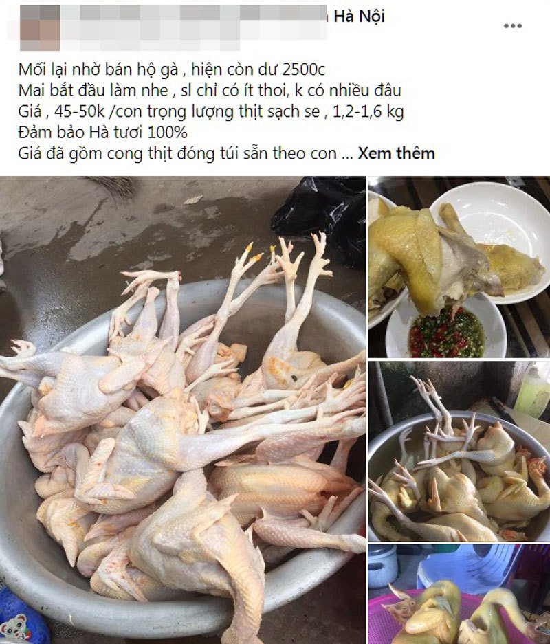 Hiện trên nhiều diễn đàn chợ mạng gà ri mổ sẵn nặng từ 1,2 - 1,6 kg đang được rao bán rầm rộ với mức giá khá rẻ, chỉ từ 45.000 - 50.000 đồng/con. Ảnh chụp màn hình.