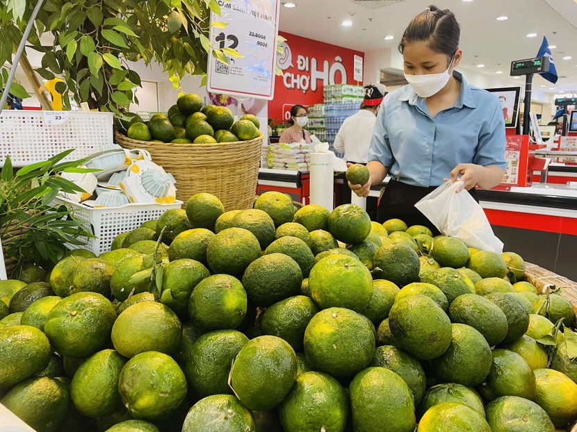 Siêu thị bán cam không lợi nhuận hỗ trợ người nông dân trồng cam - Ảnh 1.