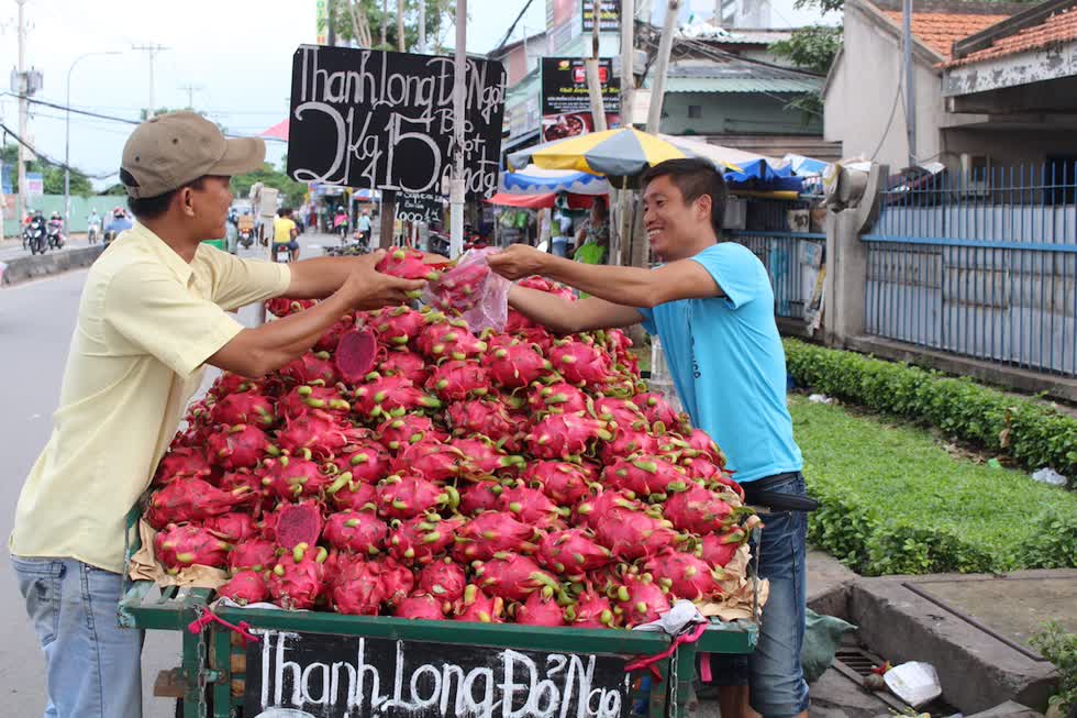   Thanh long ruột đỏ giá 15.000 đồng/2kg bán trên đường Lê Văn Sỹ (quận 3).  