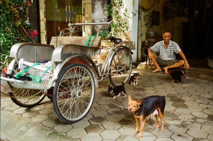 Sau những ngày ô nhiễm, Hà Nội bừng sáng trong nắng cuối thu