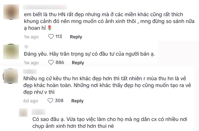 Nhưng không ít cư dân mạng cho rằng không nên so sánh