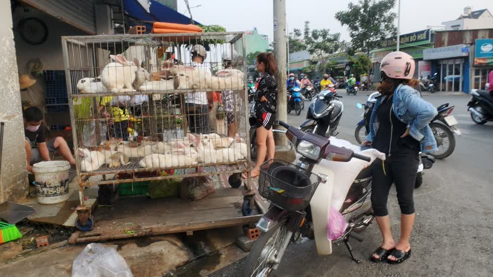 Điểm bán và làm thịt thỏ ngay tại chổ trên đường Lê Đức Thọ, quận Gò Vấp - Ảnh: Cẩm Viên.