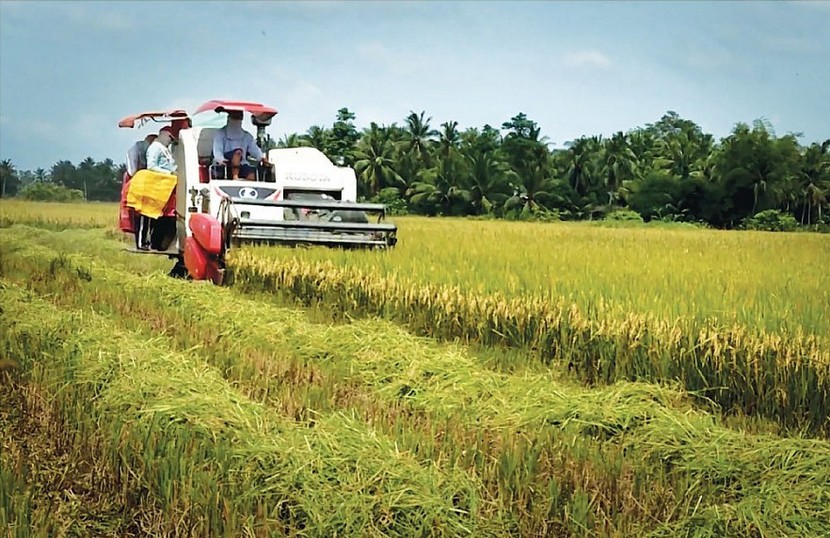 Việt Nam và Thái Lan hợp tác nâng cao giá gạo xuất khẩu - Ảnh 1.