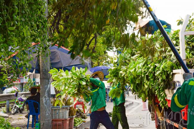 Công việc buổi chiều bắt đầu từ lúc 3 giờ hơn khi thời tiết dịu nhẹ hơn.