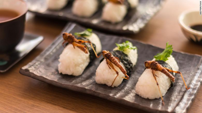   Món sushi châu chấu này không lạ ở Nhật. Người ta còn có sushi ong, sushi trứng chuồn chuồn nữa.   