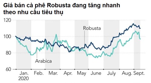   Nguồn: Nikkei Asian Review.  