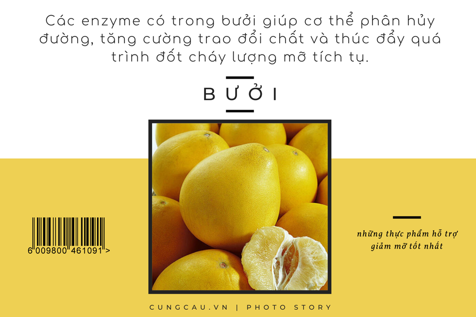 Những thực phẩm hỗ trợ giảm mỡ thừa cho cơ thể