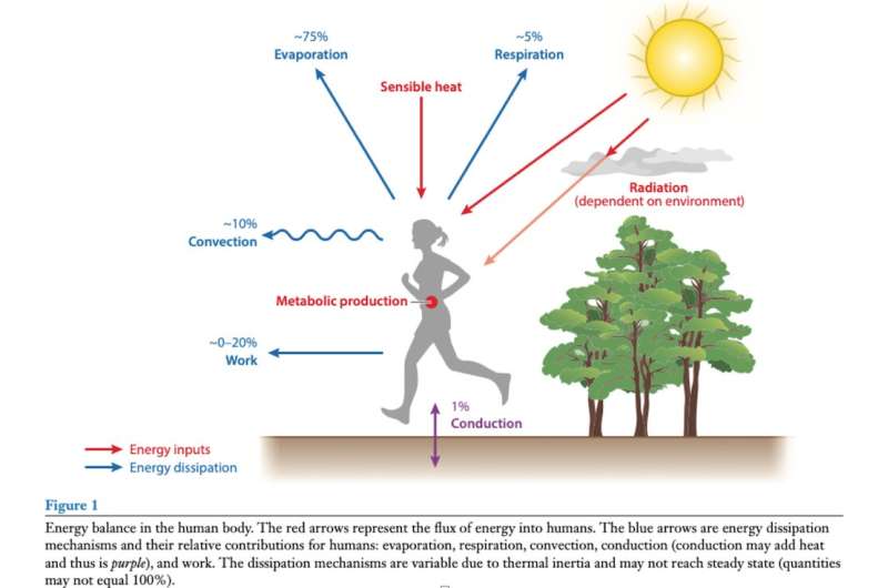 Tại sao 40°C có thể chịu được ở sa mạc nhưng gây chết người ở vùng nhiệt đới? - Ảnh 3.