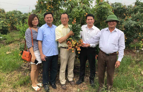   Ông Tạ Đức Minh (áo trắng, từ trái sang) - Thám tán thương mại tại Nhật Bản trong lần giới thiệu quả vải với các đối tác Nhật.  