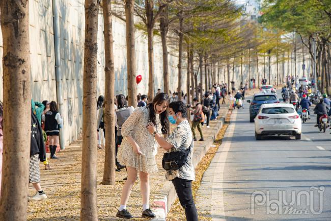 Bàng lá nhỏ mới được trồng gần đây tại Hà Nội, nên không gian sắc vàng của hàng cây này khiến cho nhiều người thích thú và lạ lẫm.