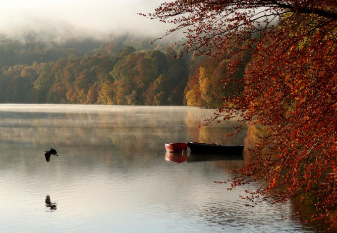 Sắc lá đỏ phản chiếu ở hồ Faskally, Pitlochry, Scotland/Russell Cheyne