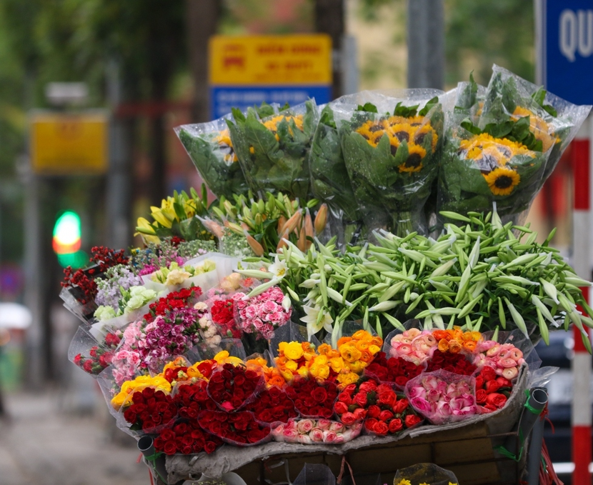 Hoa Loa kèn dịu dàng nỗi nhớ tháng Tư - Ảnh 2.