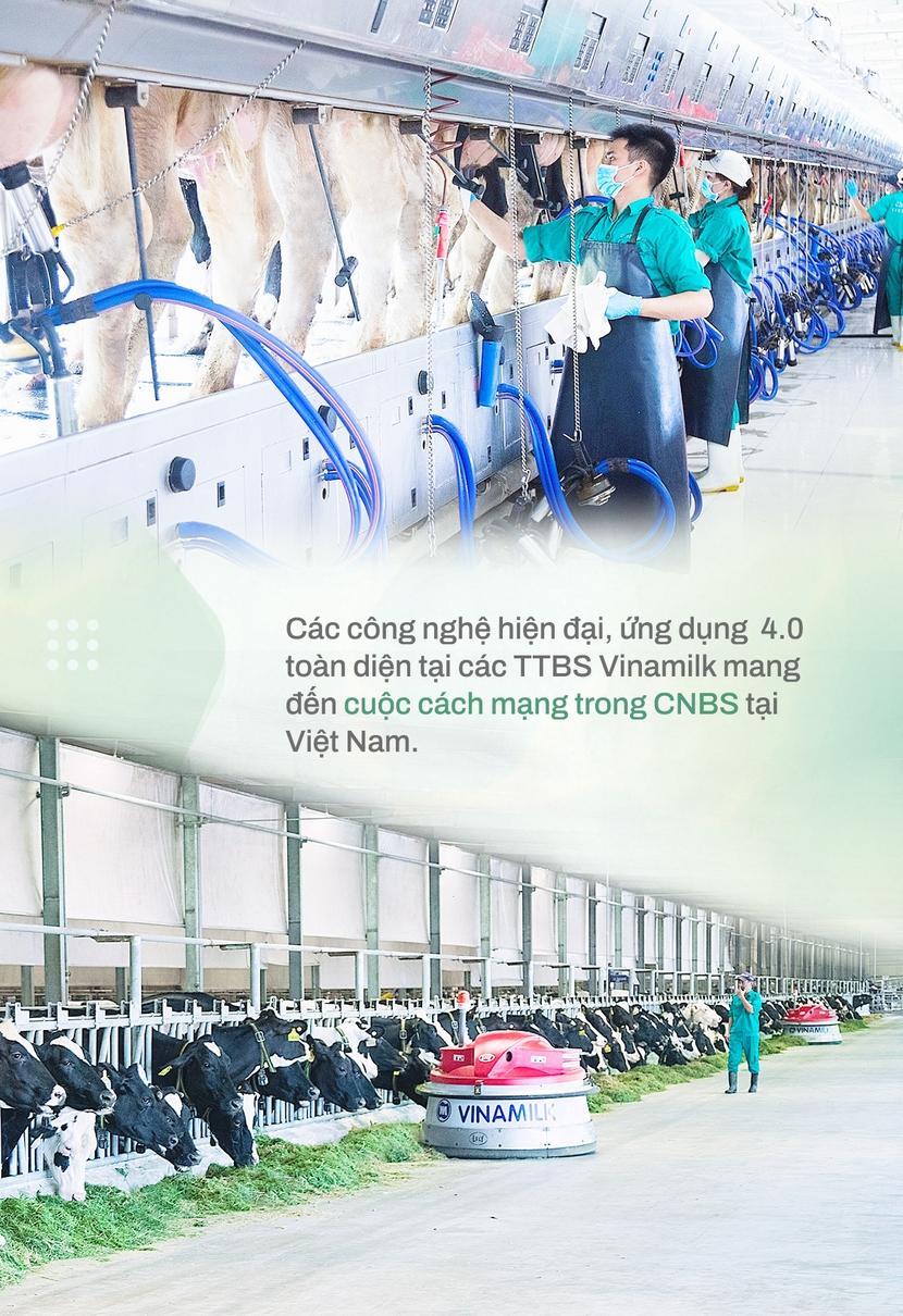 Bà Mai Kiều Liên - nữ doanh nhân, nhà khoa học tâm huyết vì ngành sữa - Ảnh 2.