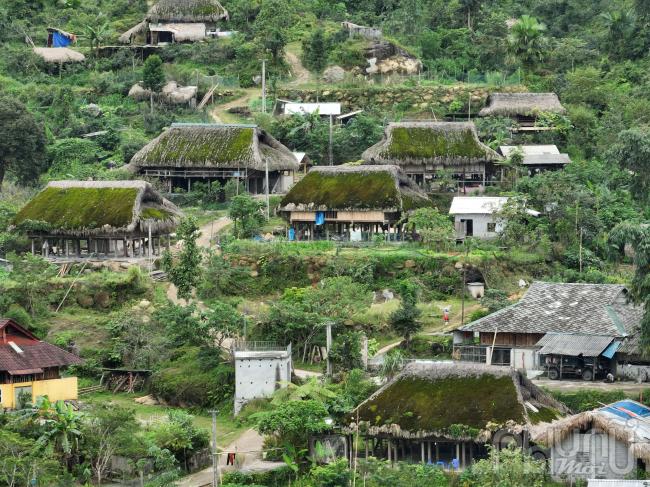 Mỗi ngôi nhà sàn đều được lợp từ hàng vạn chiếc lá cọ tán rộng của núi rừng. Sau hàng thập kỷ phơi nắng, tắm mưa, những mái nhà bắt đầu mọc rêu.