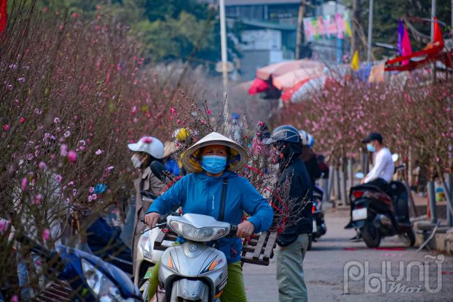 Các tiểu thương bán đào đang chở đào ra bày bán tại chợ.