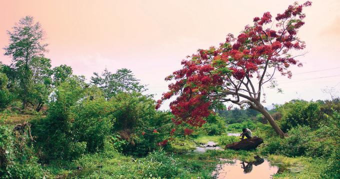 Đạo diễn Marcus Mạnh Cường Vũ: Còn sống, tôi còn làm phim về Memento Mori!