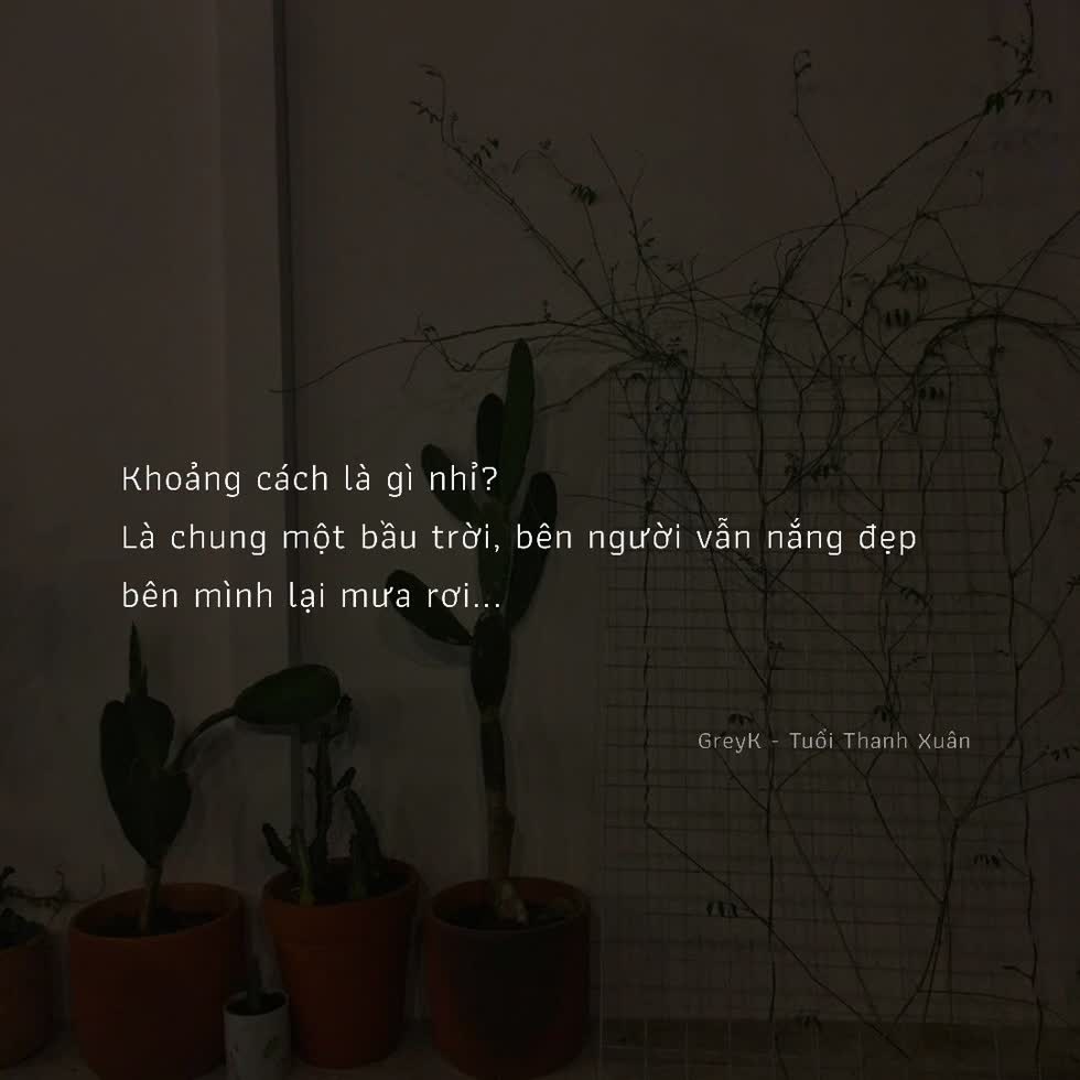 Tử vi ngày mới 2/3/2020 của 12 cung hoàng đạo: Song Ngư công việc thuận lợi, Thiên Bình gặp tiếng sét ái tình