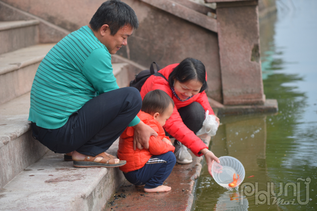 Ngày 14/1, tức ngày 23 tháng Chạp âm lịch, sau nghi lễ cúng ông Công, ông Táo, dọn bàn thờ gia tiên, nhiều người dân Hà Thành đã tới Hồ Tây để thả cá chép tiễn Táo quân