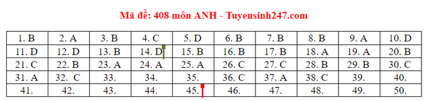 Đáp án đầy đủ 24 mã đề thi môn tiếng Anh kỳ thi tốt nghiệp THPT Quốc gia 2020