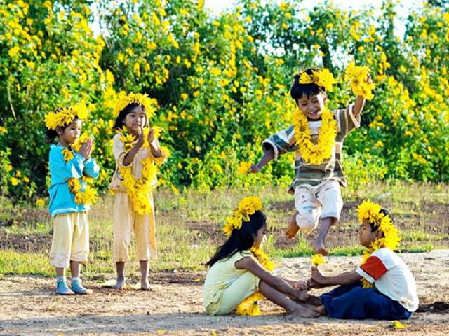 Hoa dã quỳ Đà Lạt tượng trưng cho một tình yêu mãnh liệt và sức sống bất diệt. 