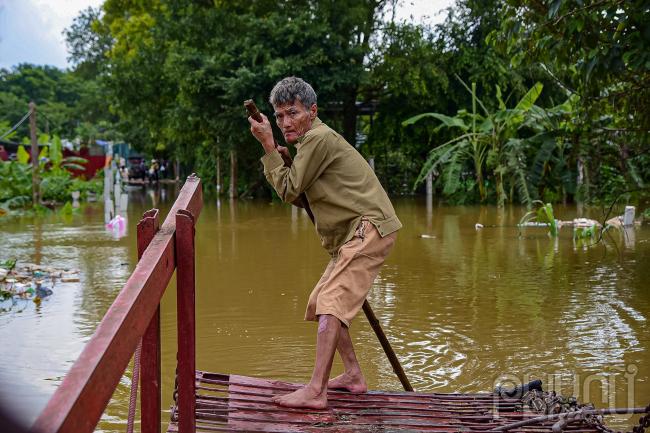 Ông Trần Thái Dũng cho biết: Cứ đến mùa nước sông Hồng dâng lên ngập đường đi lại ông lấy chiếc đò của ông ra phục vụ bà con.  Do đò hẹp mỗi lần quay đầu lên, xuống rất vất vả, những lúc này phải có người phụ. Mỗi chuyến đò ông Dũng chở khoảng 5-7 xe máy và 10 người. Tiền công 20.000đ/xe và 10.000đ/người.