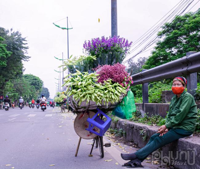 Hoa loa kèn từ vườn theo xe hàng rong của các bà, các chị ra phố để phục vụ người dân.