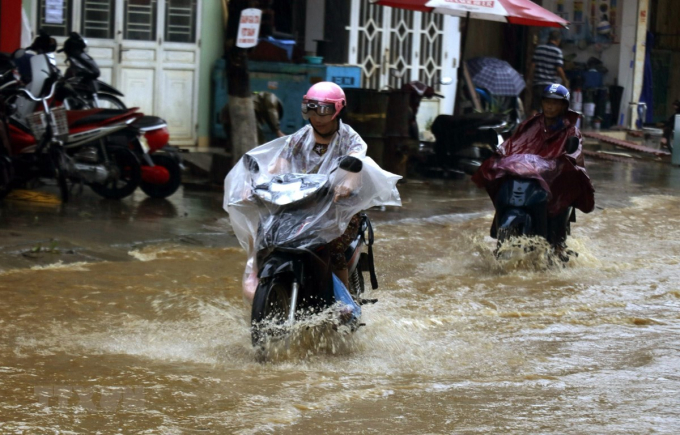 (Ảnh minh họa: Quốc Khánh/TTXVN)