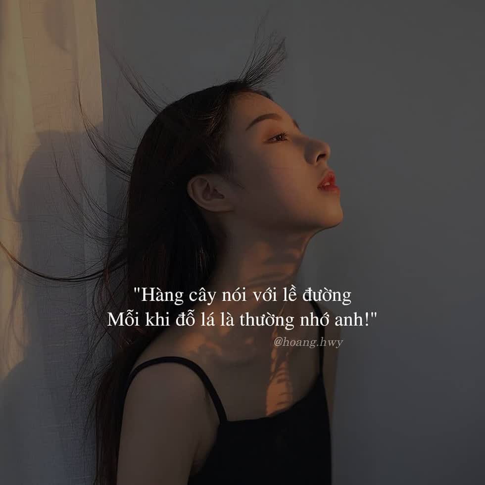 Tử vi tình duyên ngày 7/2/2020 của 12 cung hoàng đạo: Song Tử hãy vì mình, Cự Giải thay đổi