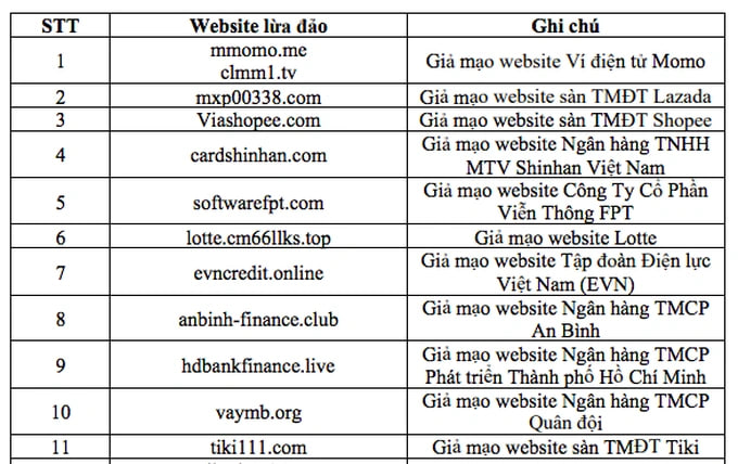 Loạt ví điện tử, ngân hàng, sàn thương mại điện tử lớn liên tục bị giả mạo - Ảnh 2.