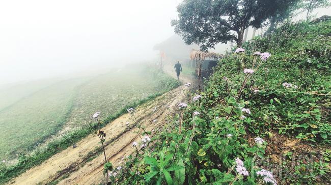 Dịu nhẹ Xà Phìn