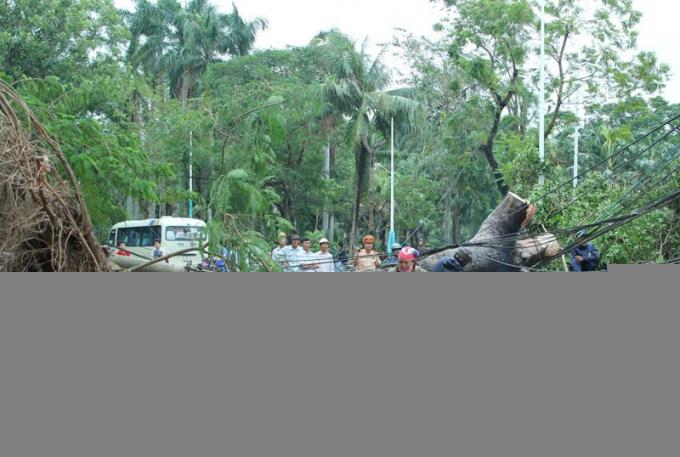 Siêu bão Sơn Tinh tàn phá Hải Phòng. Nguồn: giaoduc.net.vn